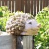 Sunnydaze Decor Sunnydaze Hazel the Hedgehog Statue - Indoor/Outdoor Decorative Figurine - 7" 1 Sunnydaze Decor Sunnydaze Hazel the Hedgehog Statue - Indoor/Outdoor Decorative Figurine - 7" -Cheap Garden Decor Store unnamed file 747