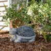 Alpine Corporation 9" Ceramic Turtle Sculpture Gray 1 Alpine Corporation 9" Ceramic Turtle Sculpture Gray -Cheap Garden Decor Store unnamed file 781