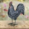 12.2" Resin Striped Rooster Statue Black and White - Exhart -Cheap Garden Decor Store unnamed file 810