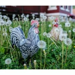 12.2" Resin Striped Rooster Statue Black and White - Exhart 26 12.2" Resin Striped Rooster Statue Black and White - Exhart -Cheap Garden Decor Store unnamed file 821