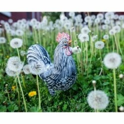 12.2" Resin Striped Rooster Statue Black and White - Exhart 27 12.2" Resin Striped Rooster Statue Black and White - Exhart -Cheap Garden Decor Store unnamed file 822