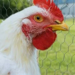 Midwest Air Technologies YardGard 48 Inch x 25 Foot Heavy Duty Galvanized Steel 2 Inch Hexagonal Mesh Design Poultry Netting/Wire Garden Fencing, Silver -Cheap Garden Decor Store unnamed file 9058