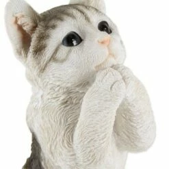 Zingz & Thingz Zingz & Thingz 9" Polyresin Pretty Please Cat Garden Figurine 8 Zingz & Thingz Zingz & Thingz 9" Polyresin Pretty Please Cat Garden Figurine -Cheap Garden Decor Store unnamed file 9269