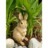 Zingz & Thingz Zingz & Thingz 5.25" Polyresin Curiously Cute Bunny Garden Figurine Brown -Cheap Garden Decor Store unnamed file 9307