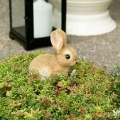 Zingz & Thingz Zingz & Thingz 4.5" Polyresin Vivid Bunny Garden Figurine Tan -Cheap Garden Decor Store unnamed file 9325