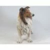 HI-LINE GIFT LTD 21.5" Polyresin Collie Statue Brown - Hi-Line Gift -Cheap Garden Decor Store unnamed file 950