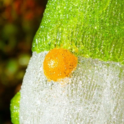 Evergreen Twinkling Light Gnome Garden Statue, Light Green 2 Evergreen Twinkling Light Gnome Garden Statue, Light Green