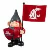 Evergreen Washington State University, Flag Holder Gnome 1 Evergreen Washington State University, Flag Holder Gnome -Cheap Garden Decor Store unnamed file 9715