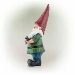 Alpine Corporation 11" Polyresin Hunting Shirt Garden Gnome Statue Green -Cheap Garden Decor Store unnamed file 9800