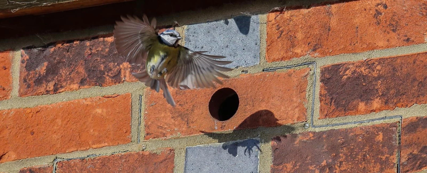 Cheap Garden Decor Store -Cheap Garden Decor Store shop banner update